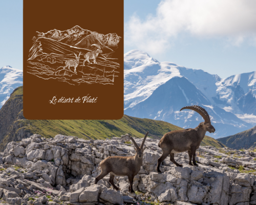 Le désert de Platé