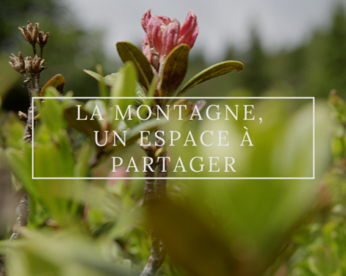 La montagne, un espace à partager