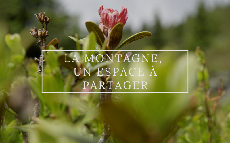 Image pour La montagne, un espace à partager