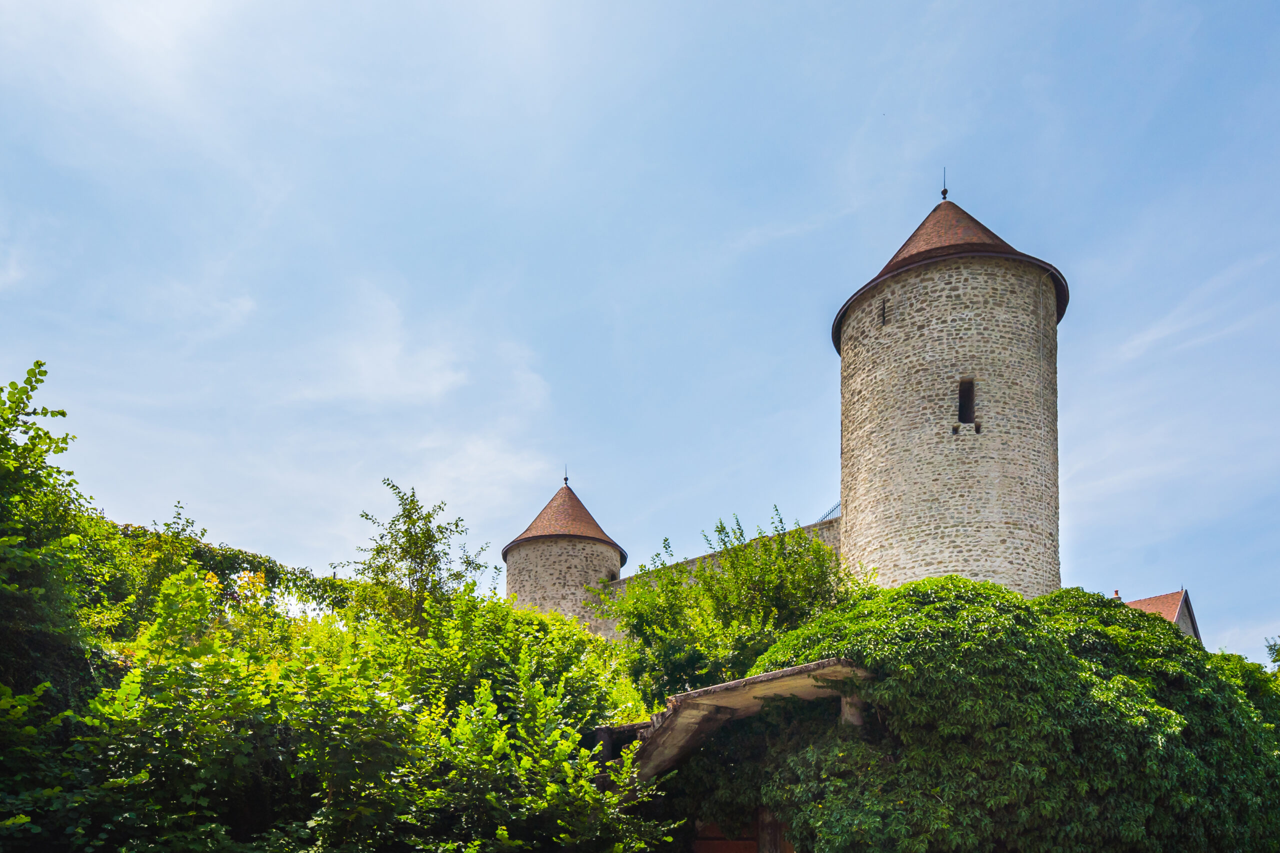 Château de Bonneville