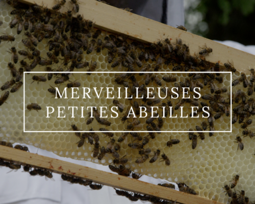 Merveilleuses petites abeilles