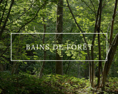 Bains de forêt