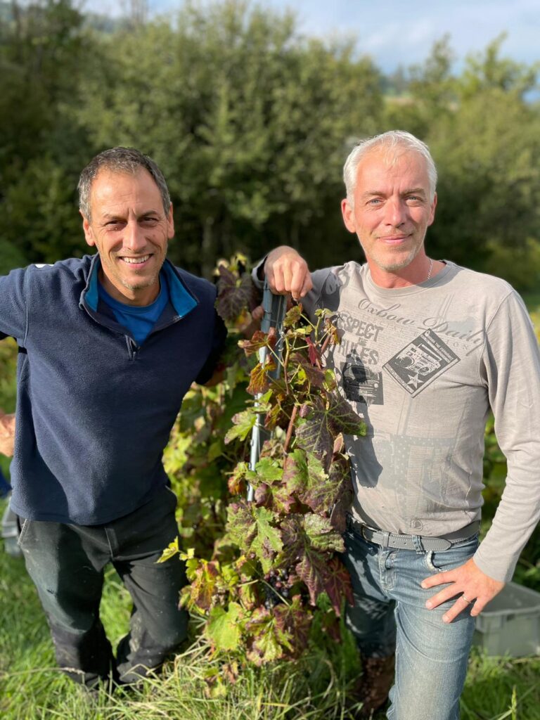 Florent Héritier et David Banant lors des vendanges à Frangy