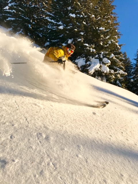 Descente au soleil d'un skieur de randonnée 