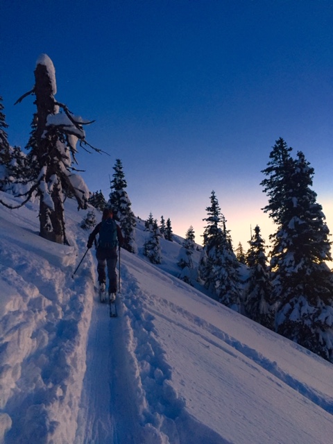 Skieur de randonnée en train de grimper une pente enneigée