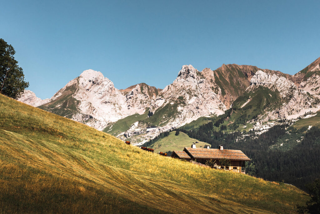 Vallée du Bouchet, le Grand-Bornand 