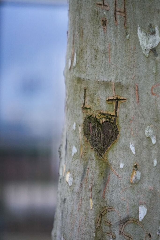 Coeur amour Haute-Savoie ©ATMB