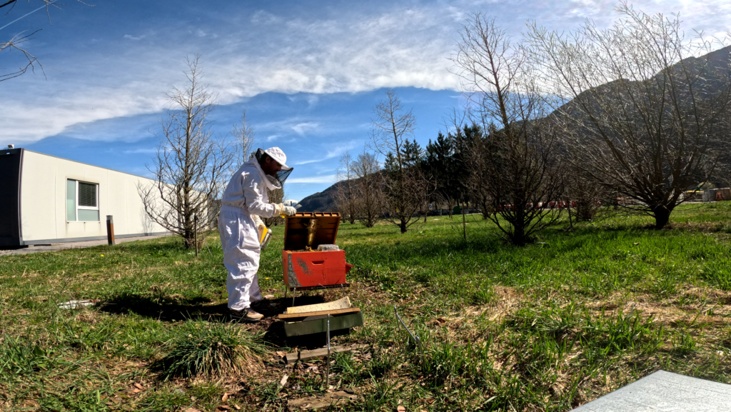 Apiculture ©ATMB