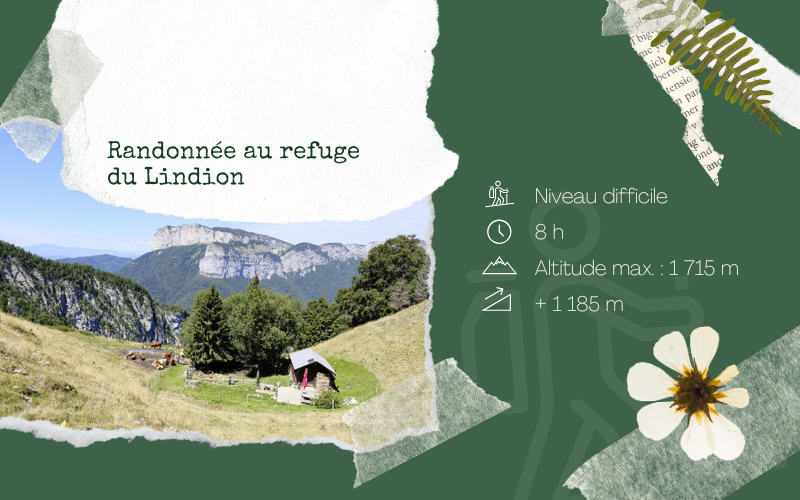 Image pour Randonnée au refuge du Lindion