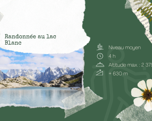 Randonnée au lac Blanc