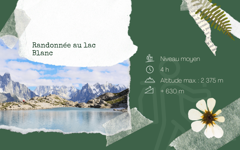 Image pour Randonnée au lac Blanc