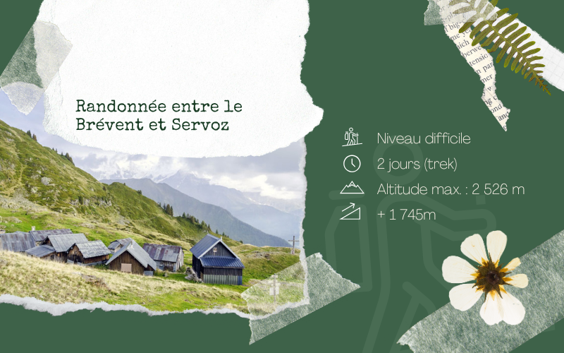 Image pour Trek entre le Brévent et Servoz