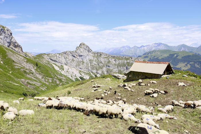 Randonnée à la Tournette - Tour de l'Aiguille de Serraval ©Julien Dorol