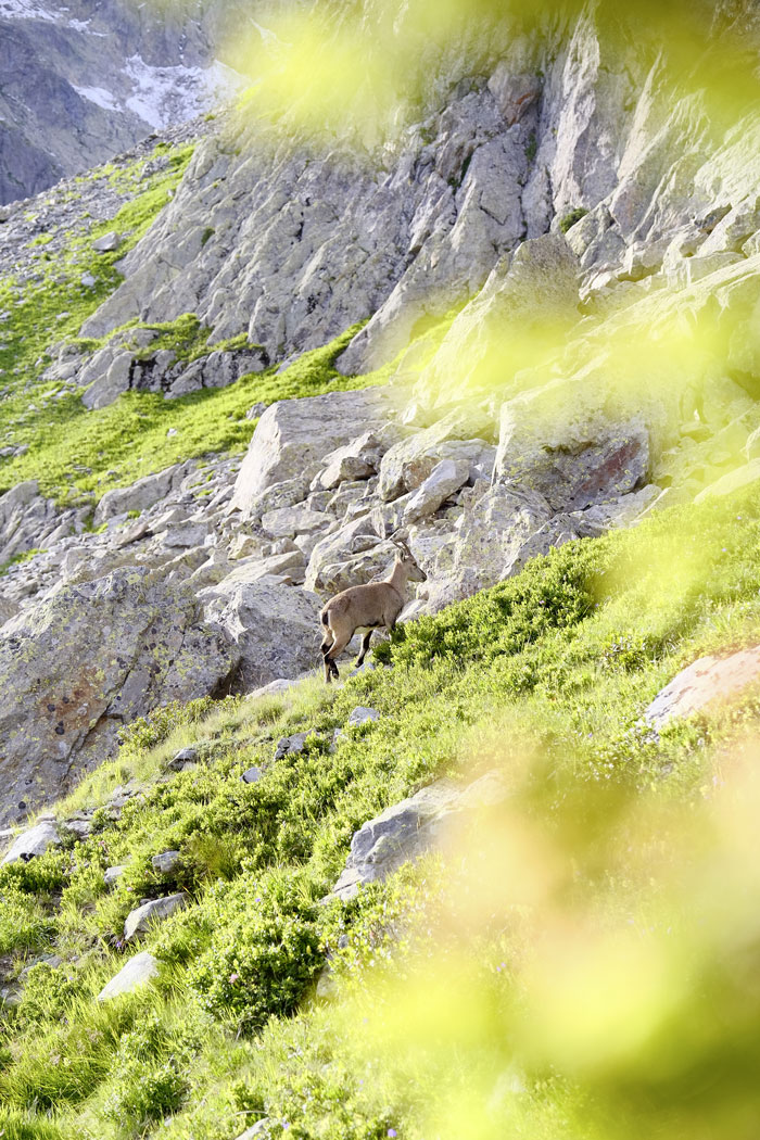 Randonnée au lac Blanc ©Julien Dorol