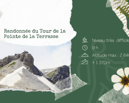 Randonnée : Tour de la Pointe de la Terrasse
