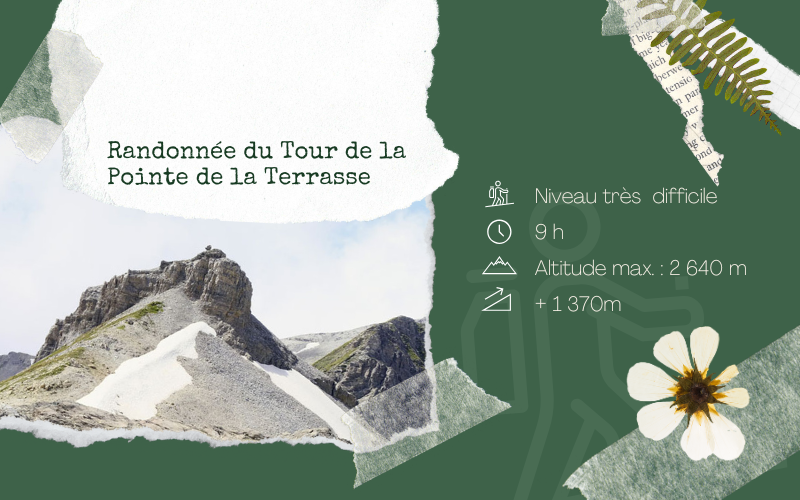 Image pour Randonnée : Tour de la Pointe de la Terrasse
