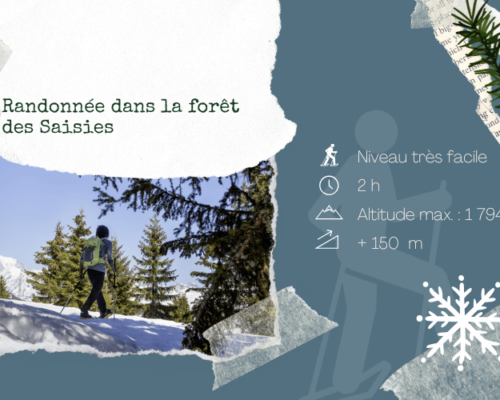 Randonnée dans la forêt des Saisies