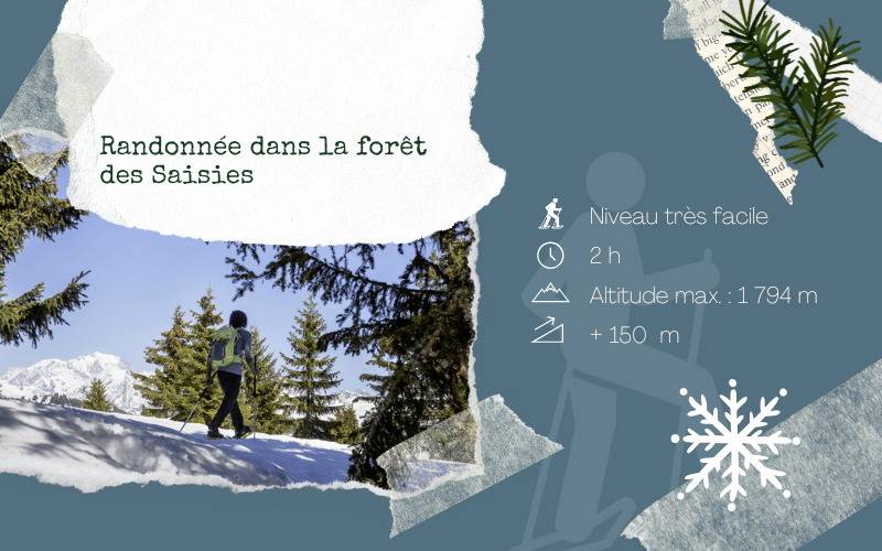 Image pour Randonnée dans la forêt des Saisies