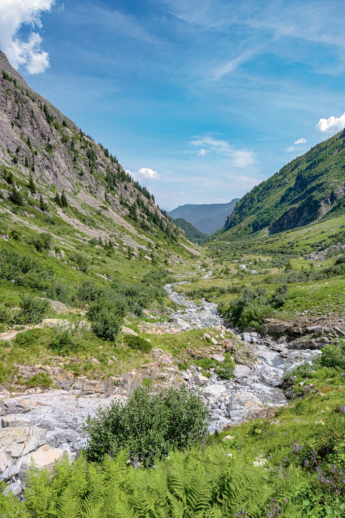 Le vallon vu vers l’aval.