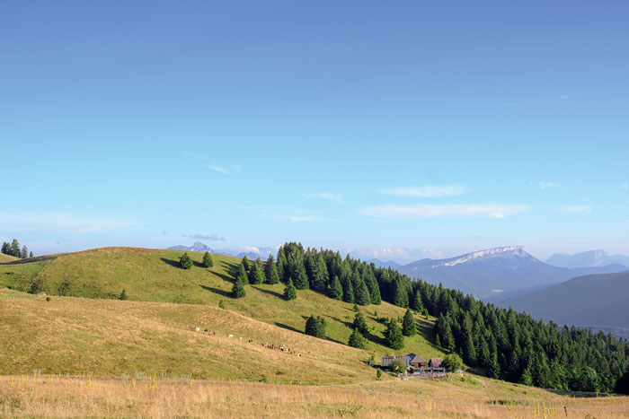 Les chalets de Gruffy ou refuge du Semnoz. Ce groupement de chalets était jusqu’au milieu des années 1990 destiné au logement des bergers et à la fabrication des fromages.