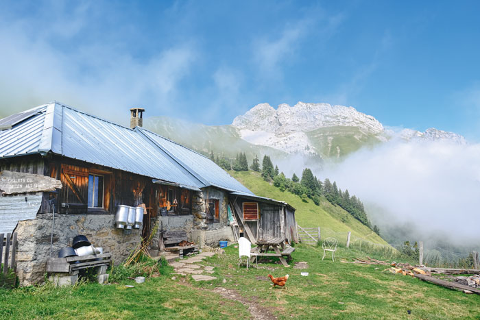 Le chalet du Drison gardé par Yves Lachenal qui vit entouré de ses chèvres laitières depuis bientôt quarante ans.