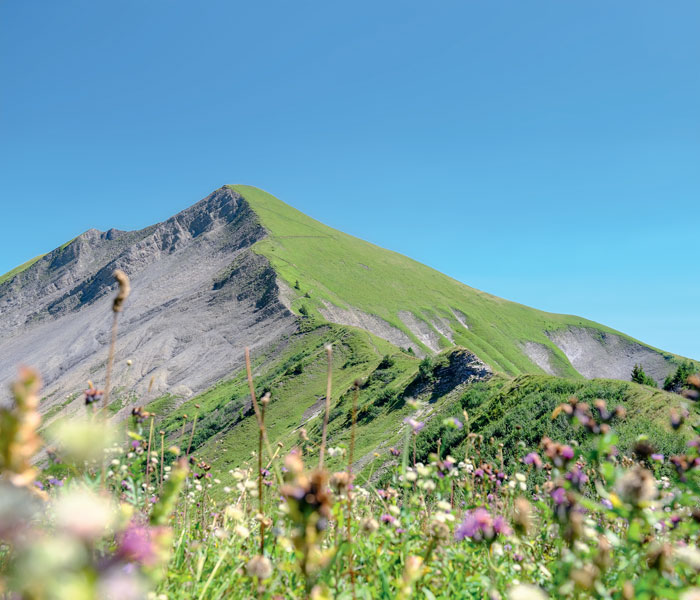 La pointe de Chaurionde et ses lacets vus depuis l’antécime du col d’Orgeval.