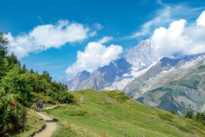 Sur la montagne de la Saxe, belvédère sur le versant sud du massif du Mont-Blanc ; ici le glacier de la Brenva.