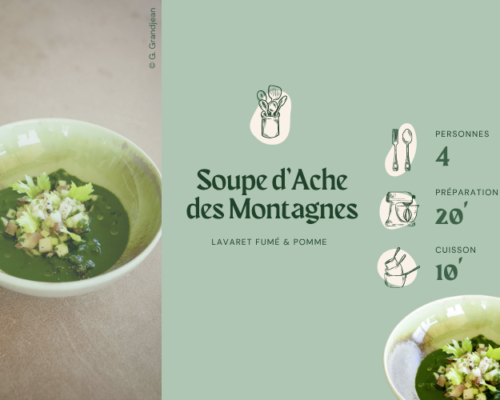 Recette de soupe d&rsquo;ache des montagnes