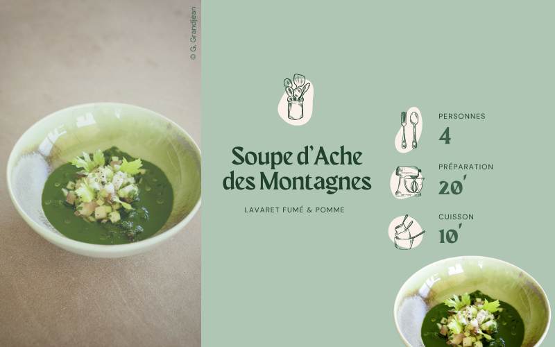 Image pour Recette de soupe d&rsquo;ache des montagnes