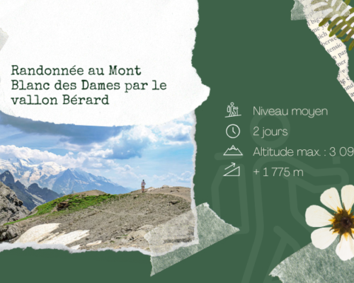 Randonnée au Mont Blanc des Dames par le vallon de Bérard