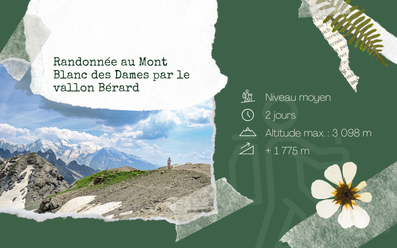 Image pour Randonnée au Mont Blanc des Dames par le vallon de Bérard