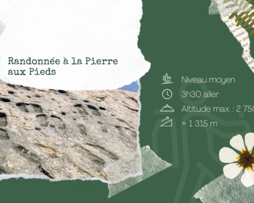 Randonnée la Pierre aux Pieds