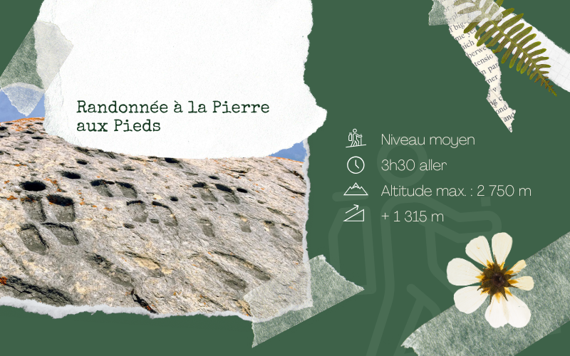 Image pour Randonnée la Pierre aux Pieds