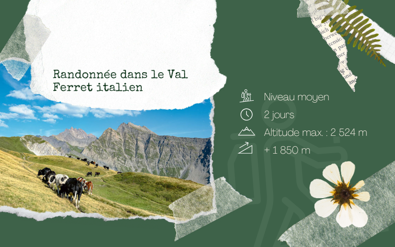 Image pour Randonnée dans le val Ferret italien