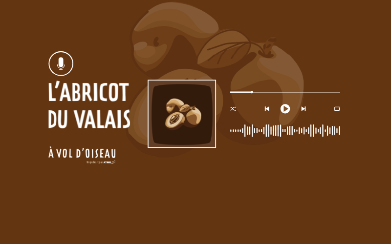 Image pour Les abricots du Valais