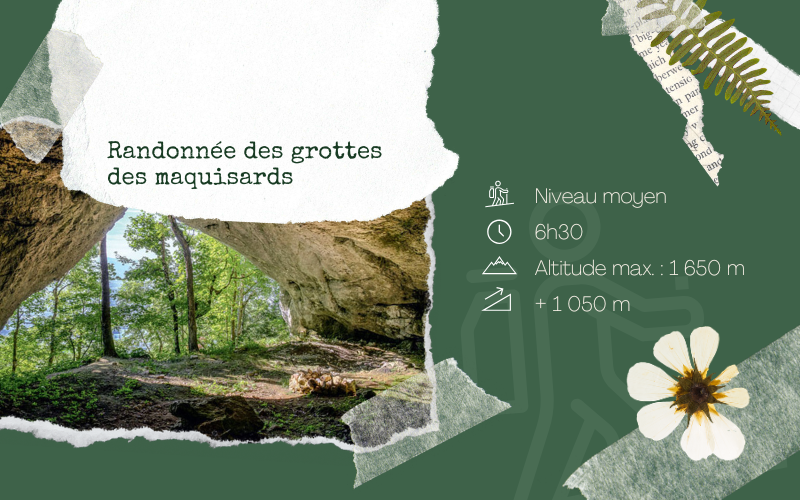 Image pour Randonnée dans les grottes des maquisards