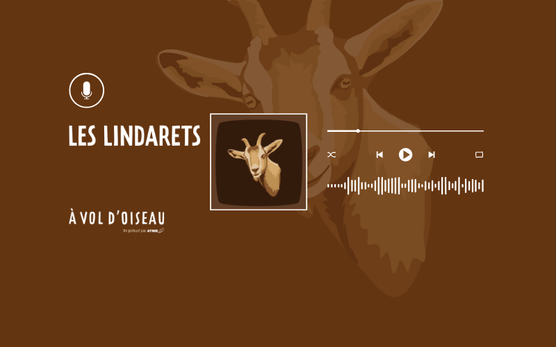 Image pour Les Lindarets