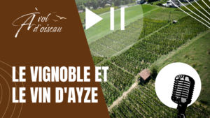 Ayze et son vin AOC